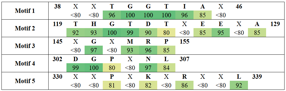 motifs1-1
