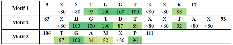 motifs1-10