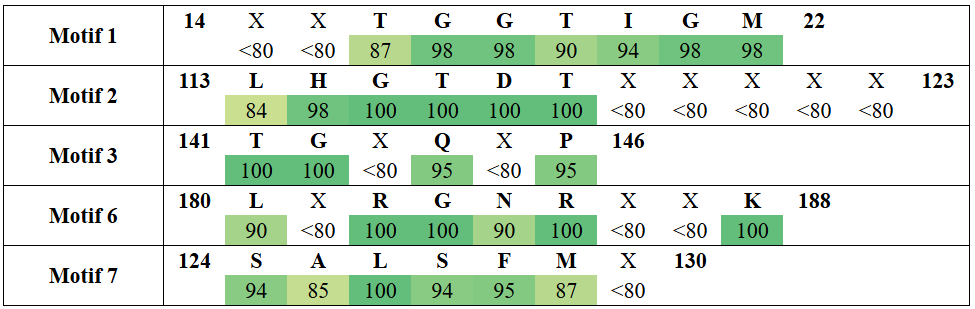 motifs1-14