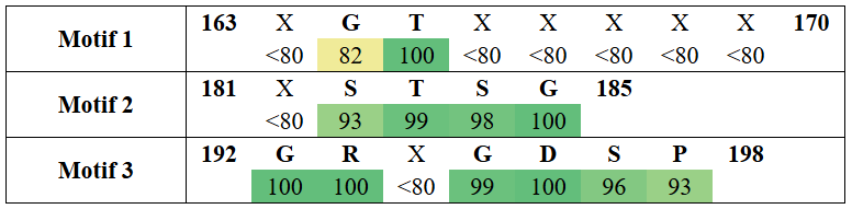 motifs2-1