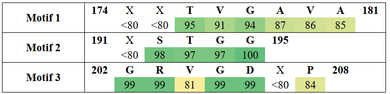 motifs2-10