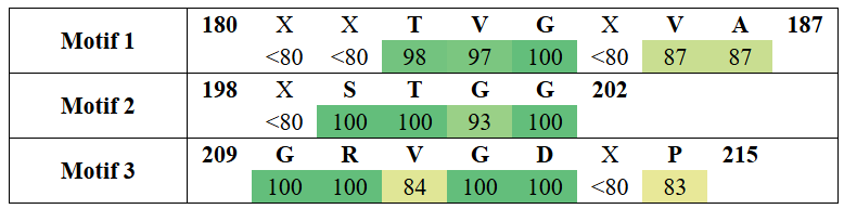 motifs2-11