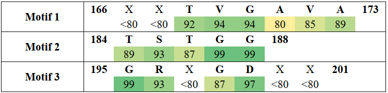 motifs2-12