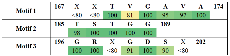 motifs2-13