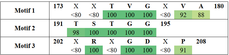 motifs2-15
