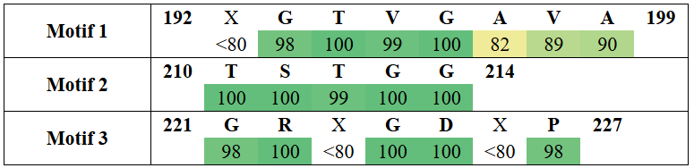 motifs2-16
