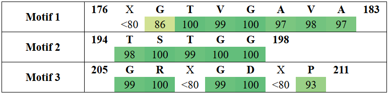 motifs2-17