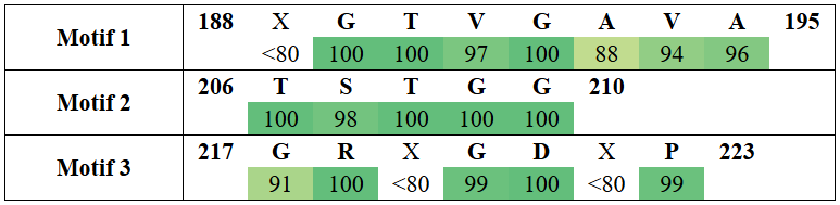 motifs2-18