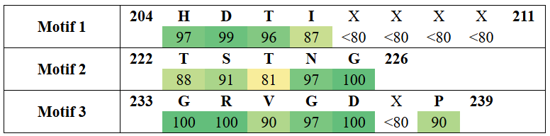 motifs2-2