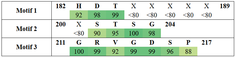 motifs2-3