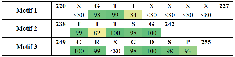 motifs2-4