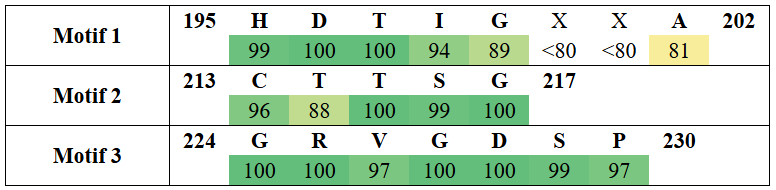 motifs2-5