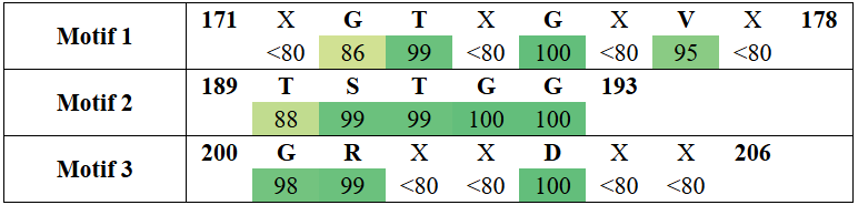 motifs2-6