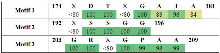 motifs2-7