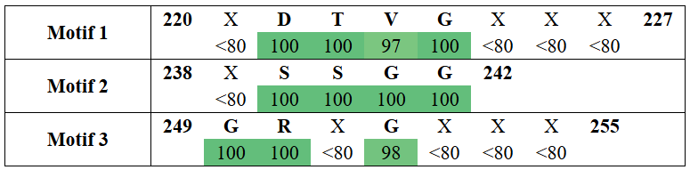 motifs2-8