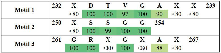 motifs2-9